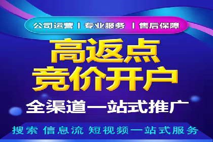行业领先企业的SEM推广策略揭秘